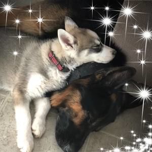 Meet your Posher, Amber